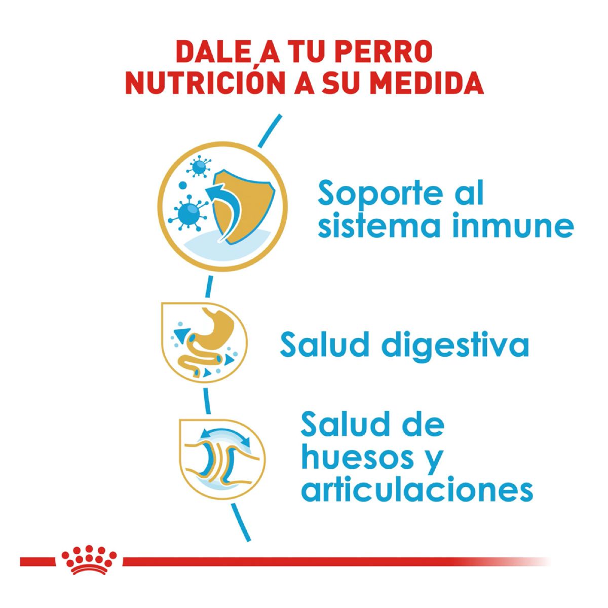 Royal Canin Bulldog Puppy - Alimento para Cachorro Royal Canin Bulldog Puppy - Alimento para Cachorro